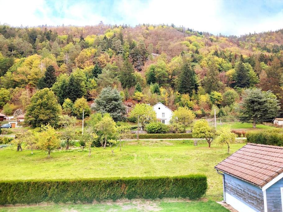 Le Vivaldi, Au Coeur Du Massif Vosgien Avec Terrain De Petanque Villa Rochesson Exterior photo