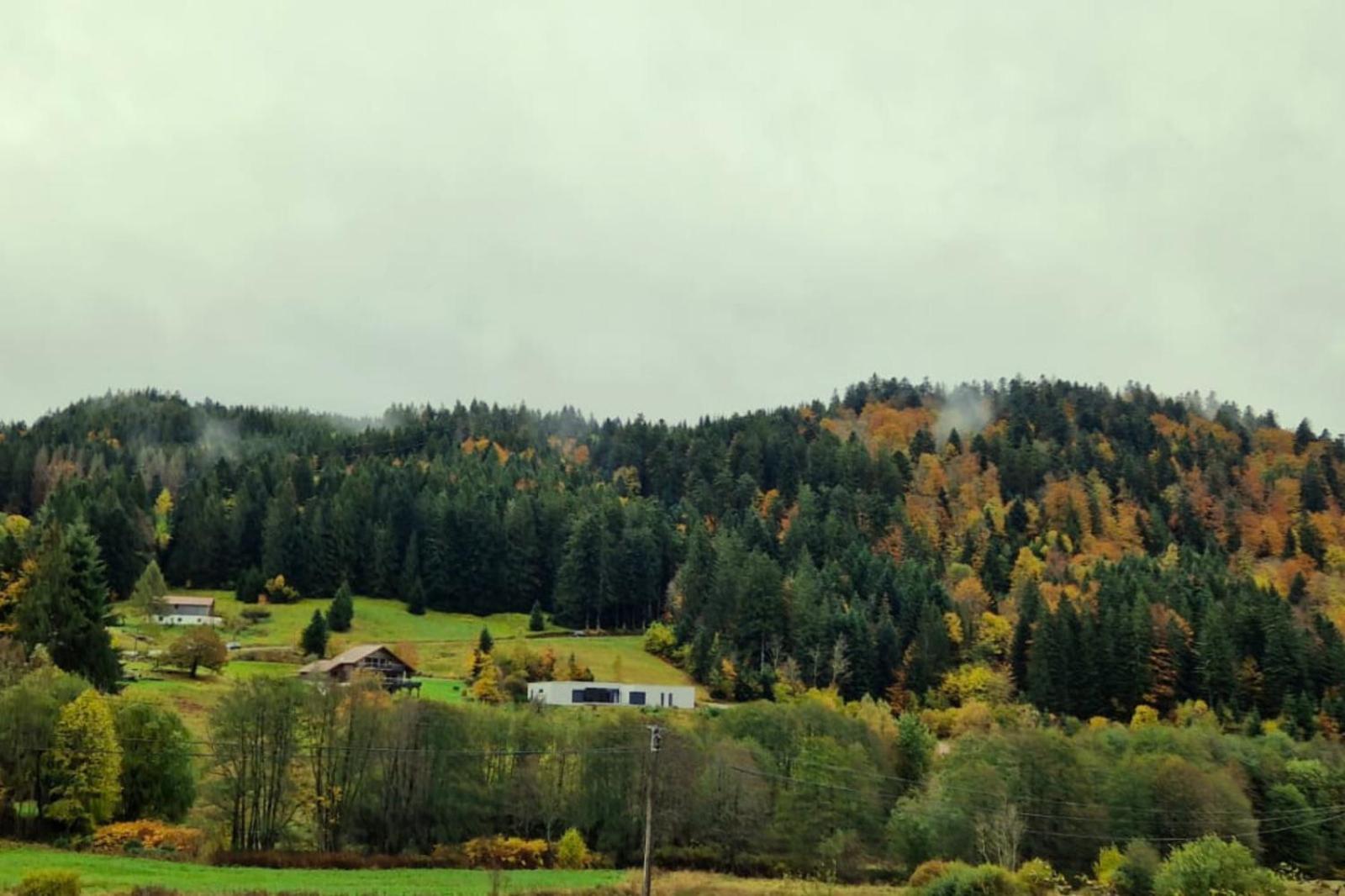Le Vivaldi, Au Coeur Du Massif Vosgien Avec Terrain De Petanque Villa Rochesson Exterior photo